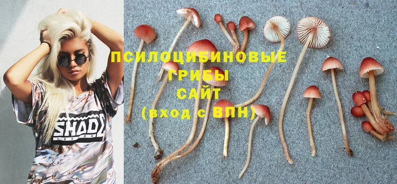 Галлюциногенные грибы Magic Shrooms  Емва 